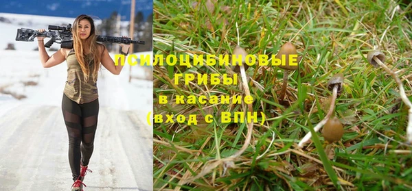 прущие крисы Новокубанск