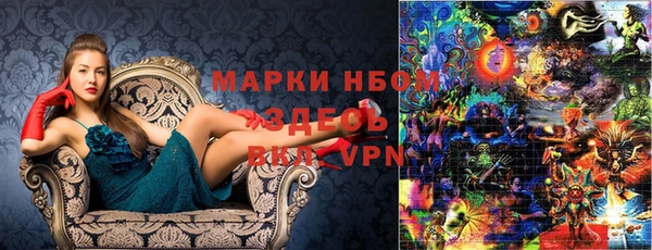 прущие крисы Новокубанск