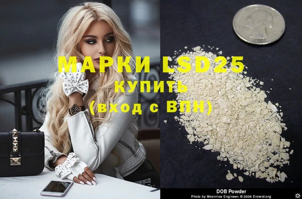 apvp Валдай
