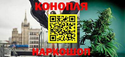 СК Дубна