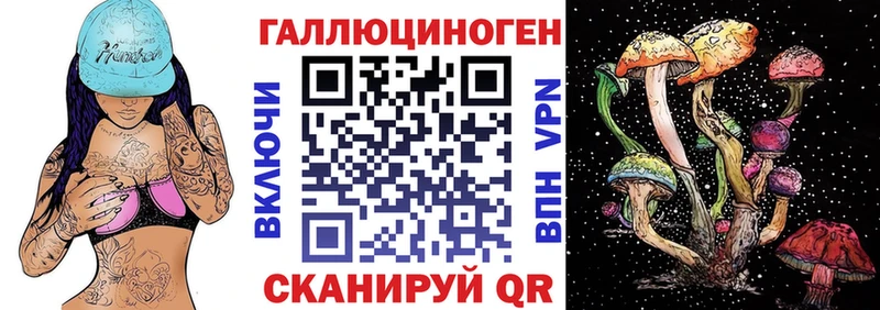 Псилоцибиновые грибы Psilocybe  наркота  Унеча 