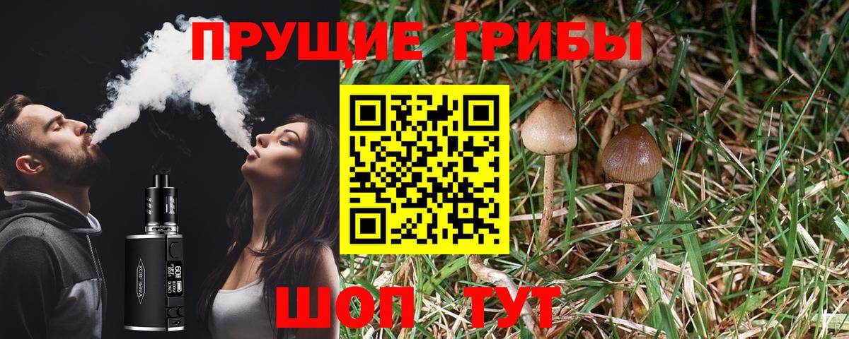 Галлюциногенные грибы Psilocybine cubensis  Вход с VPN  купить   Унеча 