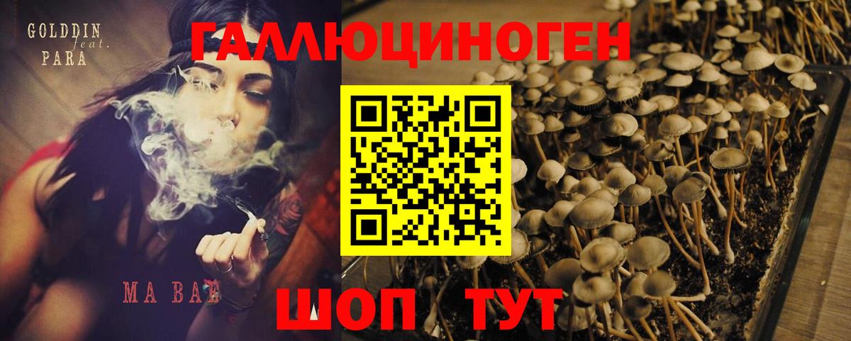 Псилоцибиновые грибы прущие грибы Унеча